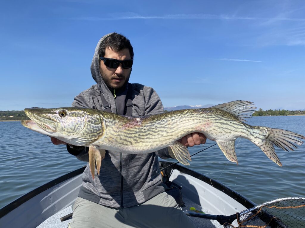 Matteo Cenerini — attività di guida di pesca