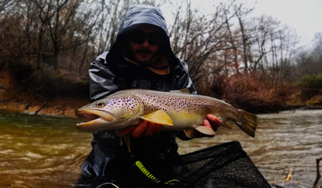 Matteo Cenerini — attività di guida di pesca
